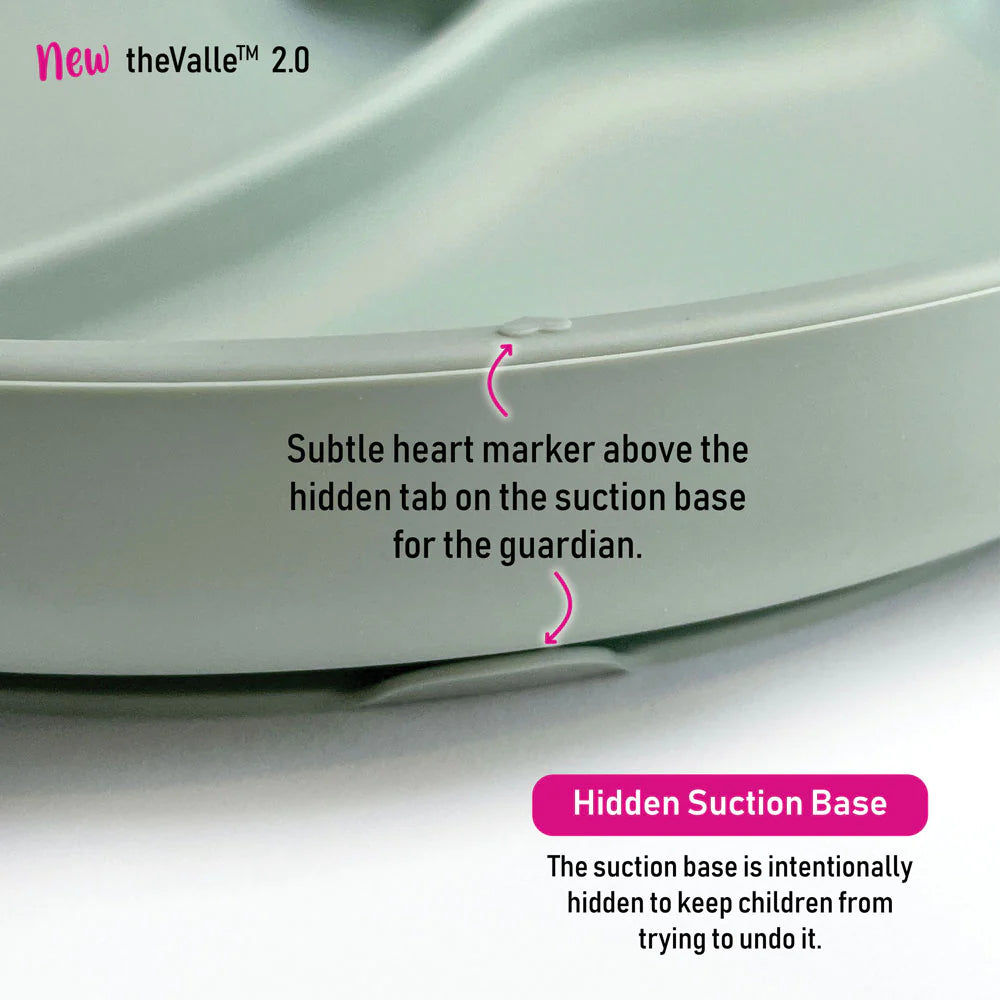Sage Divided Suction Plate - By Bright Berry
